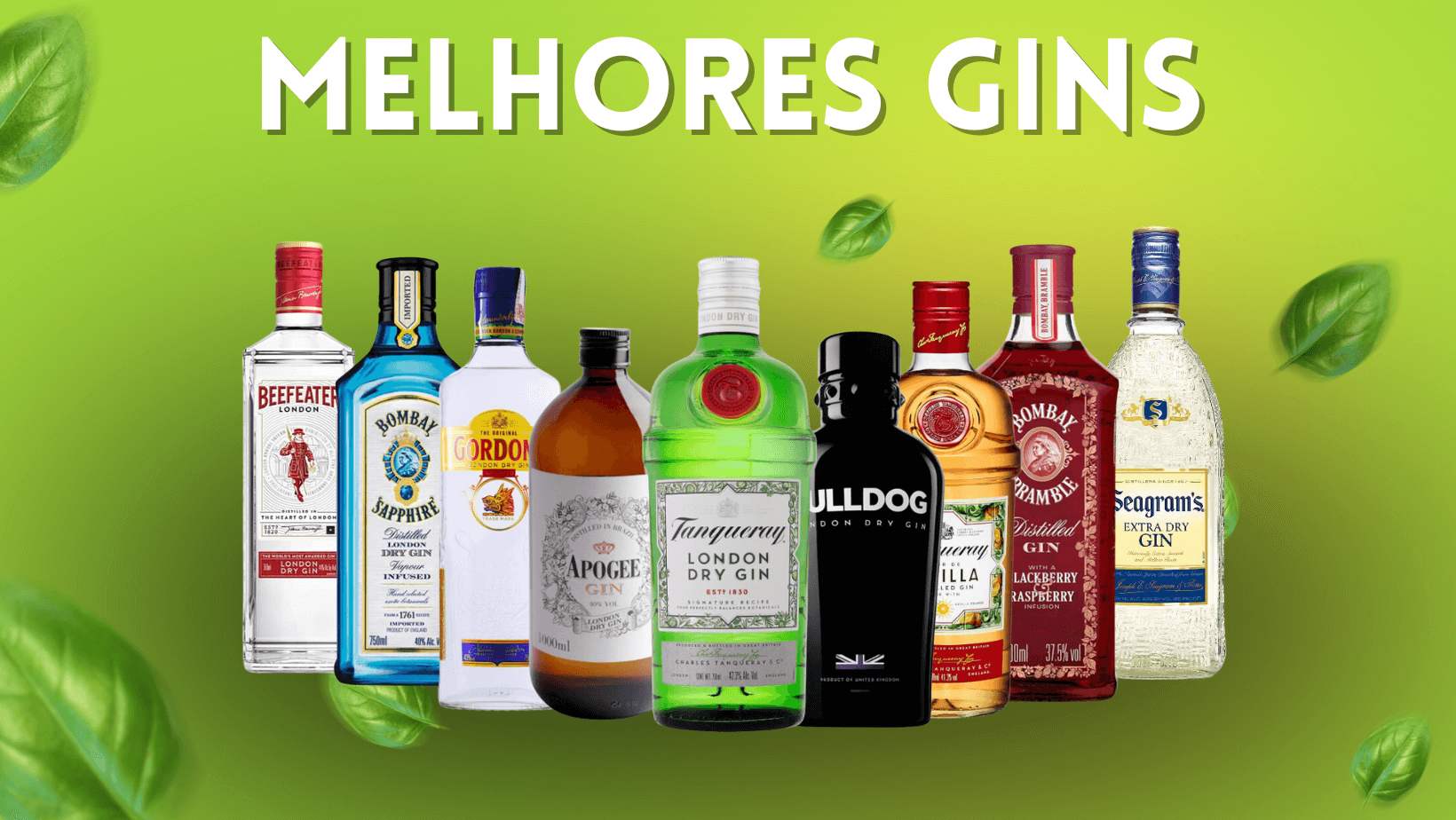 MELHORES GINS